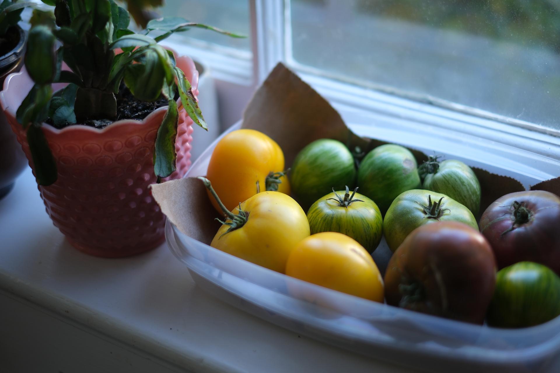 Yellow Tomatoes