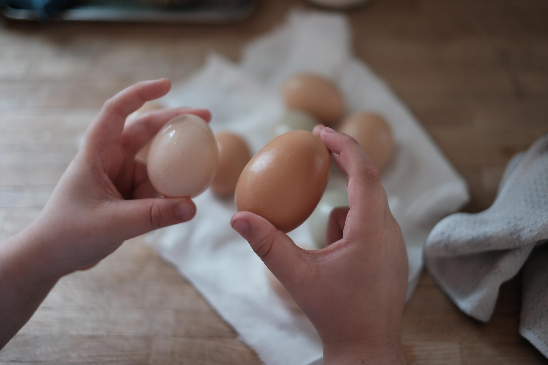 Egg Handling